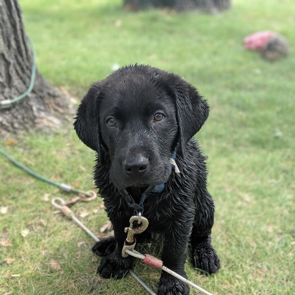 Meet your Posher, Daniella